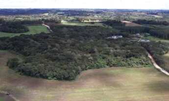 Imagem 4: Área para Venda em São José dos Pinhais, Roseira de São Sebastião