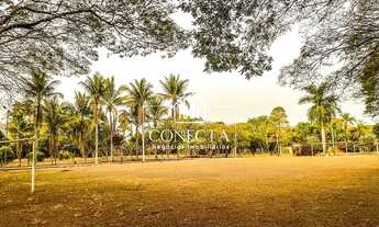 Imagem 2: Chácaras - 6 dormitórios - Para Locação