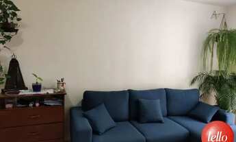 Imagem 7: São Paulo - Apartamento Padrão - Tatuapé