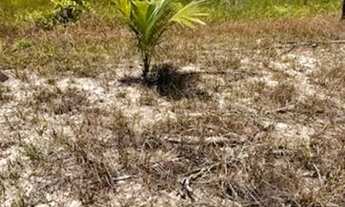 Imagem 5: Chácara Pé na areia - Praia dos Corais ALCOBAÇA - BA