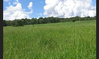 Imagem 6: Fazenda Extra 75 alqueires - Mozarlândia!