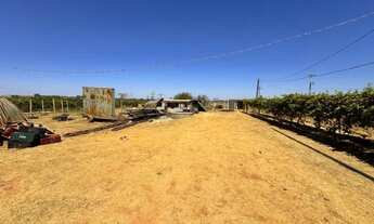 Imagem 6: Vendo chácara com plantação