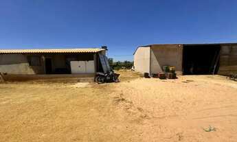 Imagem 5: Vendo chácara com plantação