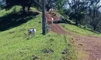 Imagem 6: Chácara Joanapolis (capelinha