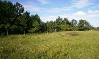 Imagem 5: Terreno à venda, 4800 m² por R$ 1.900.000,00 - São João do Rio Vermelho - Florianópolis/SC