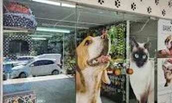 Imagem: Pet Shop Completo (Passo o ponto), Loja