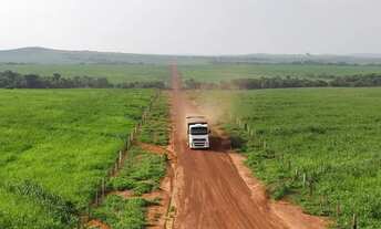 Imagem 7: Fazenda a venda 20.650 hec em Paranatinga MT. 780 milhões