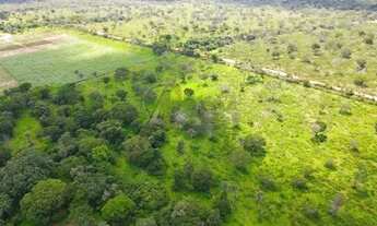 Imagem: FAZENDA INHAÚMA -À VENDA-Ideal para Cafeicultura