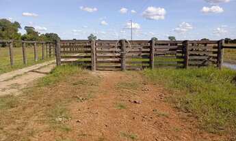 Imagem 5: Fazenda toda estruturada para pecuária, 7.821,44 hectares /1.616 Alqueires (4.84 Ha) Aragu