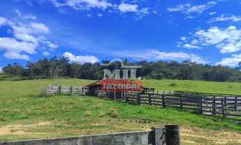 Imagem 7: Fazenda 110 alqueires (532,4HAC) Anicuns - GO