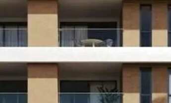 Imagem 2: Apartamento para Venda em Curitiba, Mercês, 3 dormitórios, 1 suíte, 2 banheiros, 2 vagas