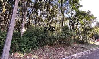 Imagem 4: Terreno à venda no Vivendas do Parque - Gramado - 805m2 R$ 650.000,00