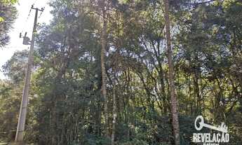 Imagem 5: Chácara com 1 dormitório à venda, 52000 m² por R$ 2.000.000,00 - Cachoeira - São José dos