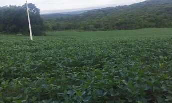 Imagem 3: FAZENDA 40 ALQUEIRES MUNICIPÍO DE EDEIA-GO