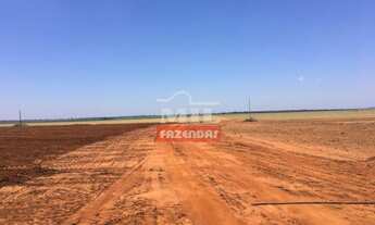 Imagem 2: Fazenda em Cachoeira Alta-GO. (153 Alqueires