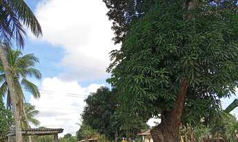 Imagem: Sítio para vender ( Povoado Baixa de Areia