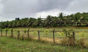 Imagem 6: Imóvel para venda possui 200000 metros quadrados com 2 quartos em b - Presidente Figueired