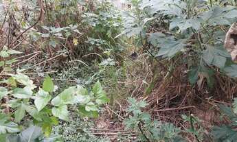 Imagem 2: Vendo ou troco terreno 300mts permuta Carapicuiba/Osasco/ Barueri/ Cotia