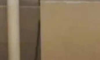 Imagem 4: Apartamento para Alugar no Jardim Aquarius com 2 quartos (suíte) e 76 metros