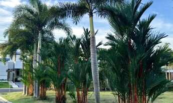 Imagem: TERRENO INDUSTRIAL em MANAUS - AM, CHAPADA