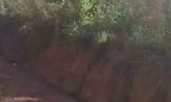 Imagem 2: Lote no conjunto Brasilar 66x88