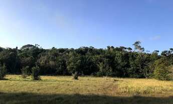 Imagem 4: Fazenda 80 tarefas Vila Margarida / Itanagra