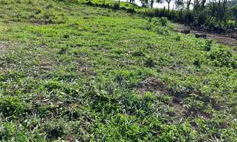 Imagem 5: 100% plano...Matrícula 100