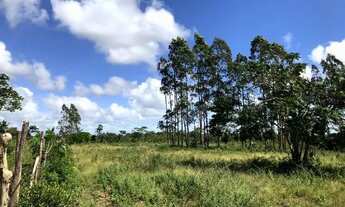 Imagem 7: Fazenda 80 tarefas Vila Margarida / Itanagra