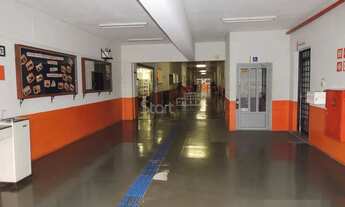 Imagem 3: Galpão - Parque Via Norte - Campinas