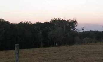Imagem 4: Lote em Estrada Municipal - São Benedito - São Pedro/SP