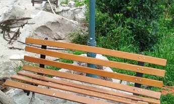 Imagem 4: Vende-se uma linda chácara em Mandirituba