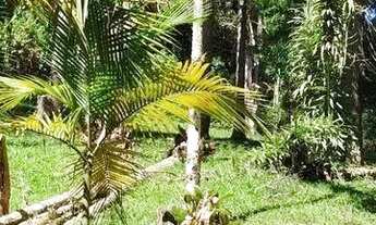 Imagem 7: Terreno Comercial para Venda em Nova Friburgo, Mury, 1 dormitório, 1 banheiro, 3 vagas