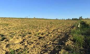 Imagem 3: Local tranquilo, ótimo para morar ou investir - Araçoiaba da Serra - SP