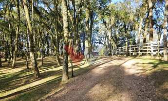 Imagem 6: Chácara dos Sonhos em São José dos Pinhais Natureza, Lazer e Conforto