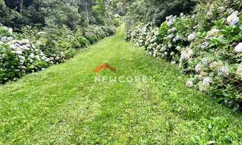 Imagem 3: Lote em Rua 21 - Alpes - São Francisco de Paula/RS