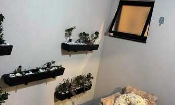 Imagem 6: Casa Térrea Alto Padrão a Venda Condomínio Parque Das Araucárias / Tremembé SP