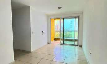 Imagem 3: AHEAD Capim Macio