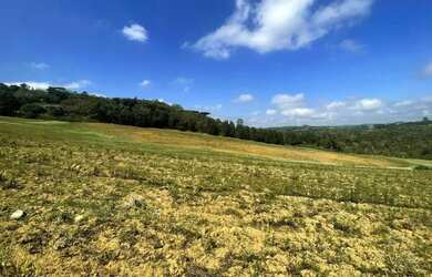 Imagem 6: ÚLTIMAS OPORTUNIDADES! TERRENOS DISPONÍVEIS! NÃO PERCA! TERRENOS LIMITADOS!