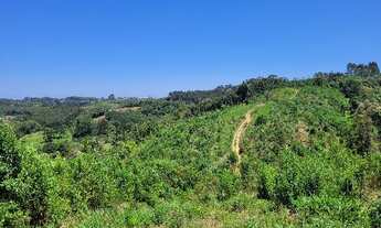 Imagem 5: Terreno em perímetro urbano - São Bento do Sul SC - 40.000 m²
