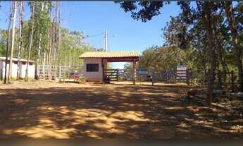 Imagem 2: Lote na beira do Lago Serra da Mesa, Niquelândia- GO