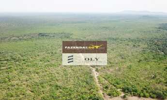 Imagem 6: Fazenda Extra ! 597 Alqueires ! Região de Cocalinho-GO !