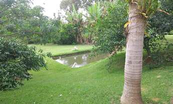 Imagem 6: VENDO CHACARA URBANA NO CENTRO DE MORRINHOS RICA EM ÁGUA QUASE 5 MIL METROS ESCRITURADA