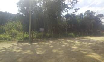 Imagem 3: Oportunidade frente BR 101- Industrial-Comercial