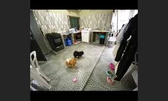 Imagem 6: Casa nova 298.000,00