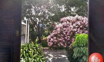 Imagem 2: São Paulo - Casa Padrão - Vila Formosa