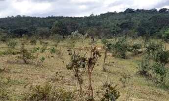 Imagem 5: Terreno 100.000m2 (10 hectares), topografia muito boa, local sossegado