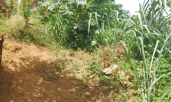 Imagem 3: Vende-se terreno