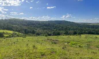Imagem 6: Fazenda de 67 alqueires em Corumbá de Goiás