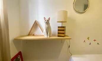 Imagem 2: Lindo apartamento em condomínio em VARGEM PEQUENA RJ