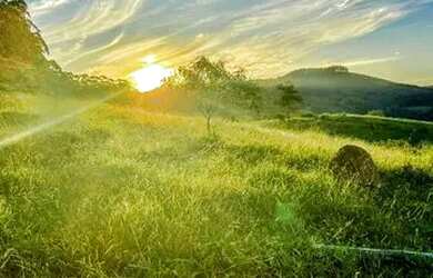 Imagem 2: Lote/Terreno para venda tem 500 metros quadrados em Centro - São José dos Campos - SP